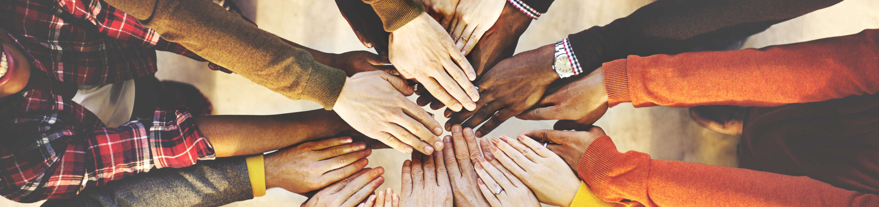 Team Diversity and Inclusion
