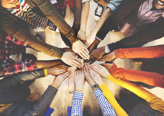 Team Diversity and Inclusion